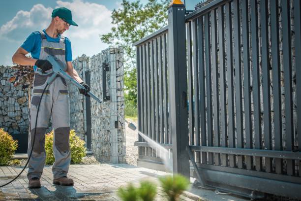 Best Graffiti Removal  in South Houston, TX