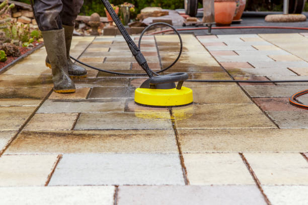 Best Building Exterior Washing  in South Houston, TX
